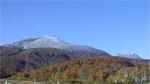 0011-iwao-ann-3.jpg