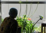 0101-hisa.jpg