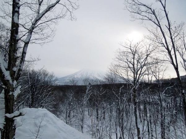 0102-co.jpg
