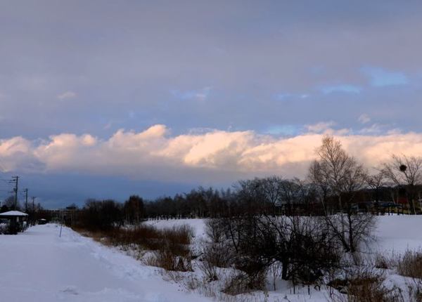 0102-kumo.jpg