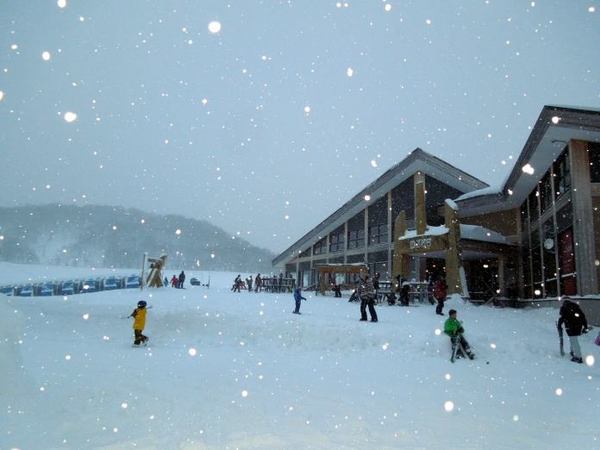 0103-hanazono-4.jpg