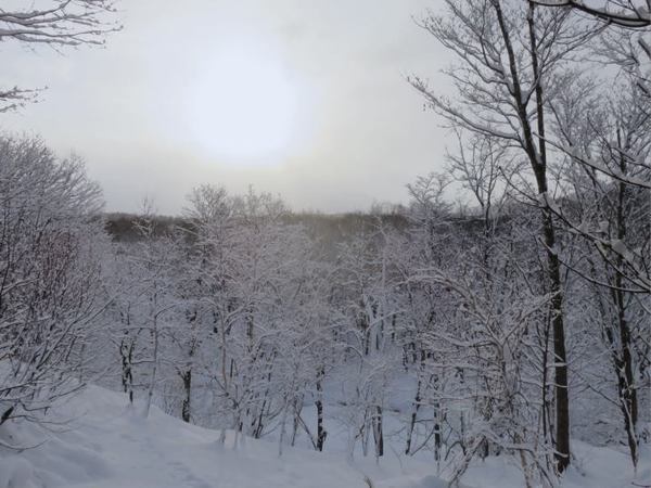0105-yu-4.jpg