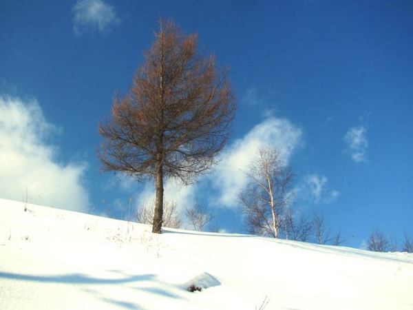 0113-aozora.jpg