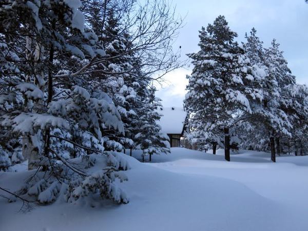 0120-jinnjya.jpg