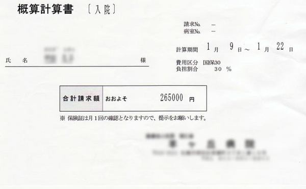 0122-gaisann.jpg