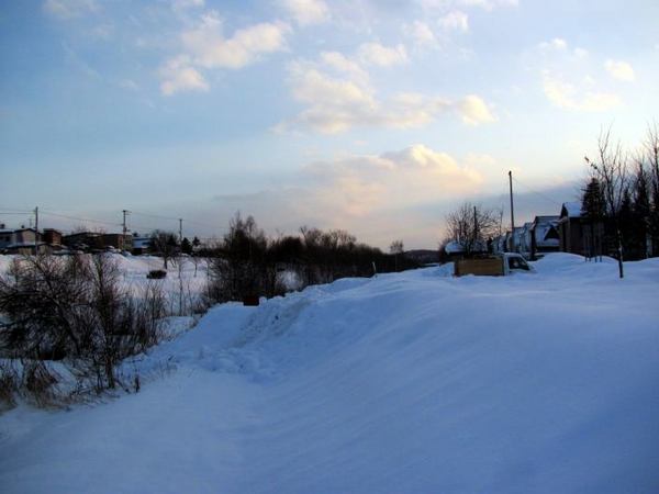 0124-keitora.jpg