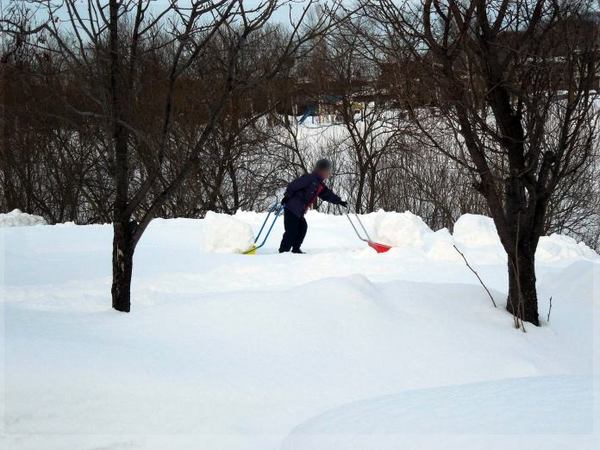0128-gannbaru.jpg