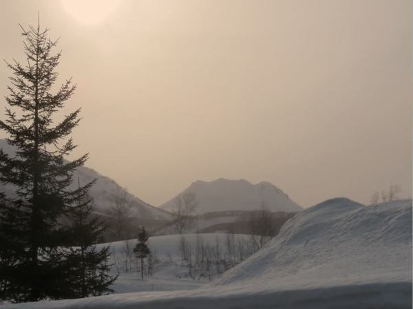 0307-iwao-2.jpg