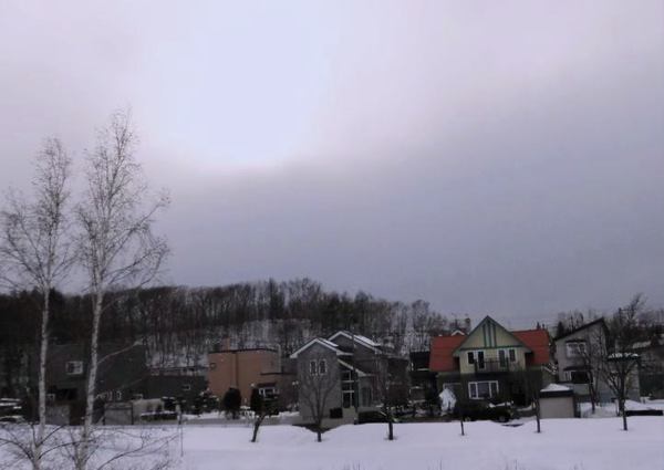 0316-2.jpg