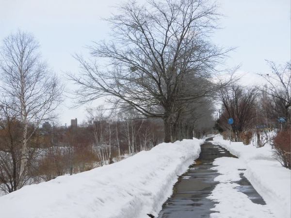 0316-c-road.jpg