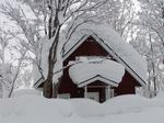 06-sakahasi.jpg