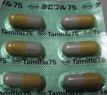 1-tamihuru.jpg
