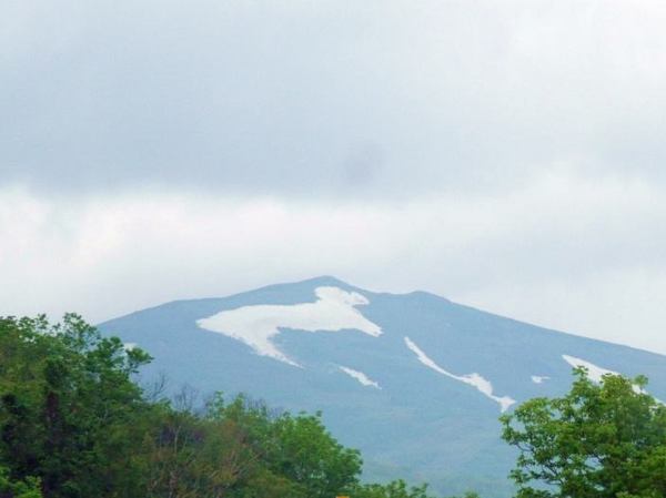 1-waisu.jpg