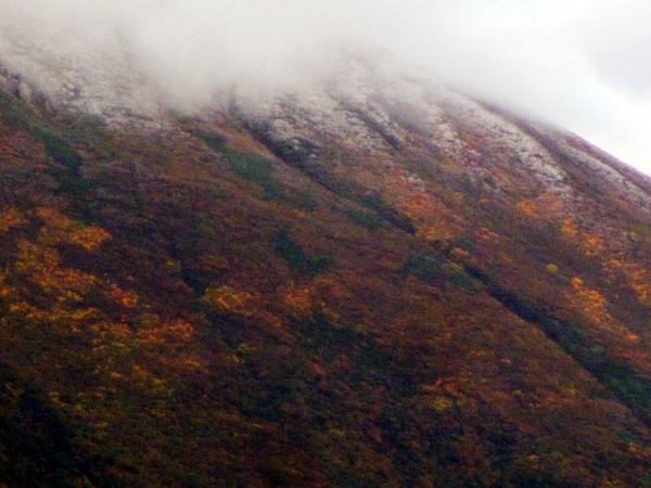 101-kakuninn.jpg