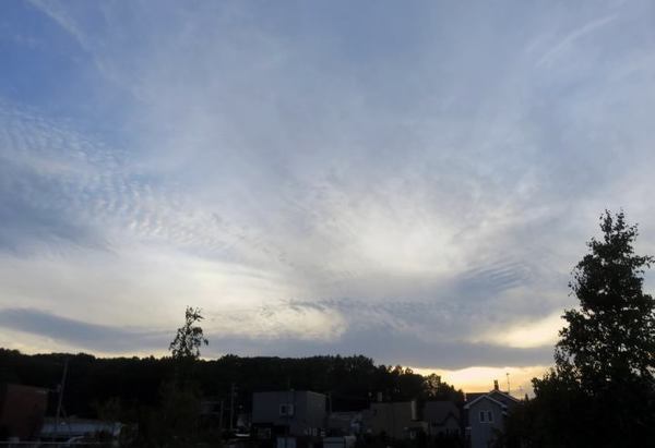 102-kumo.jpg