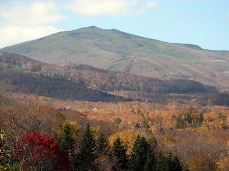 1024-waisu.jpg