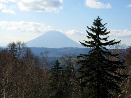 1028-yo-nakayama.jpg