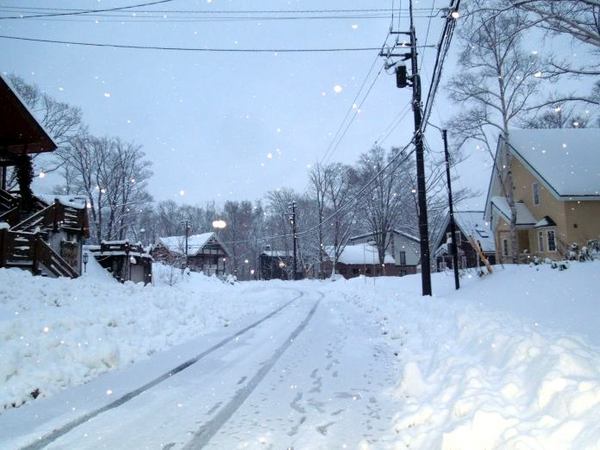 1112-yukimichi.jpg