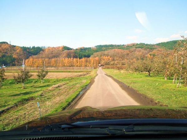 1116-rinngoenn.jpg