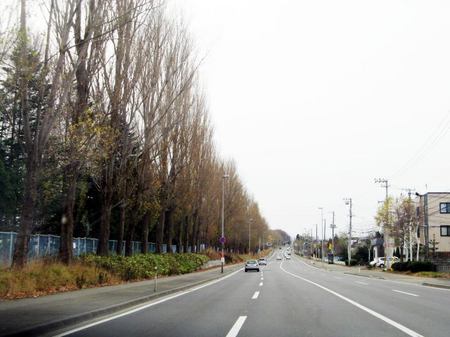 1119-sapporo.jpg