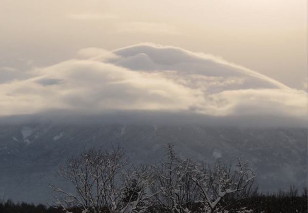 1125-yo-kumo-2.jpg