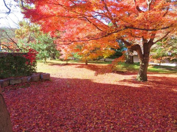 1130-touhukuji-1.jpg