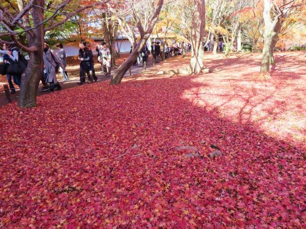 1130-touhukuji-2.jpg