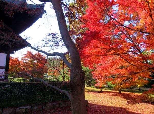 1130-touhukuji-3.jpg