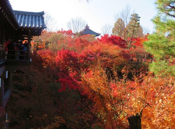 1130-touhukuji-9.jpg