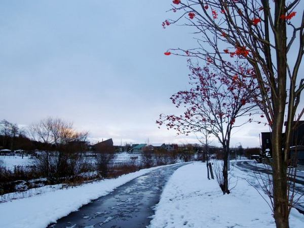 1201-dote.jpg