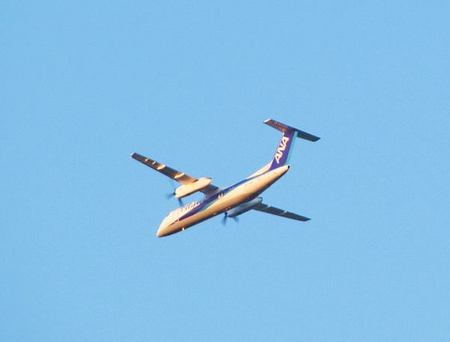 1202-ana.jpg