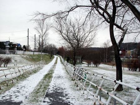 1203-yuki.jpg
