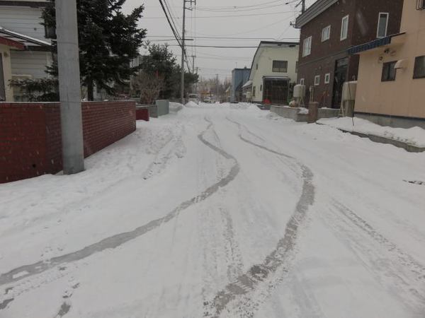 1222-suberu.jpg