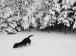 1226-momo-3.jpg