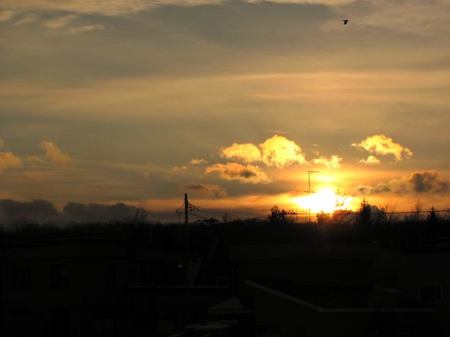 1227-sunset.jpg