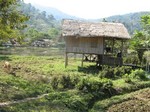 14-nodo.jpg