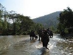 14-zou-ka.jpg