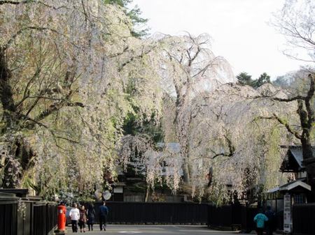 2-kakunodate.jpg