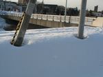 2156-neake-2.jpg