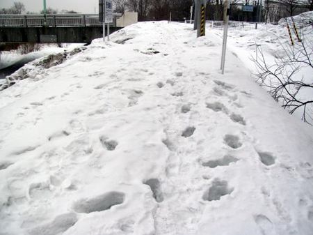 315-yukimichi.jpg