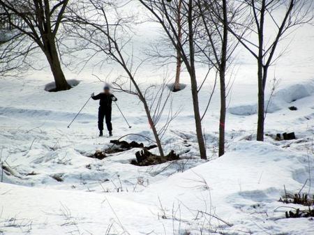 319-aruku-ski.jpg