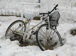 319-jitennsha.jpg