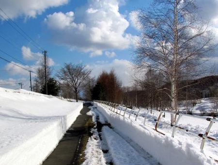 327-michi.jpg