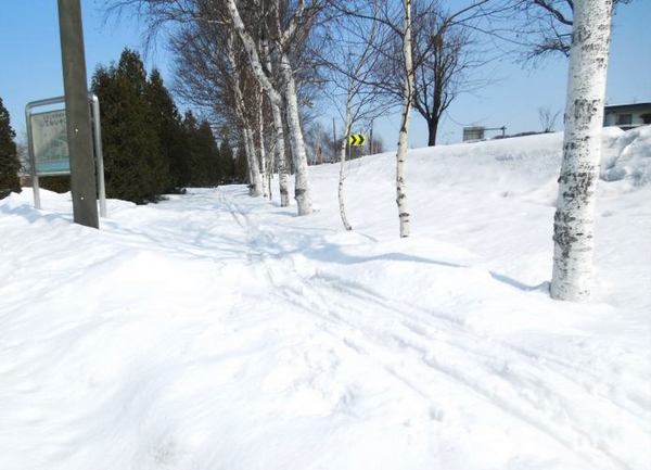 328-ski.jpg