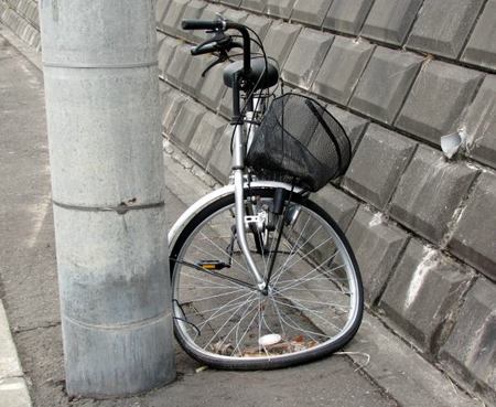 406-chari.jpg