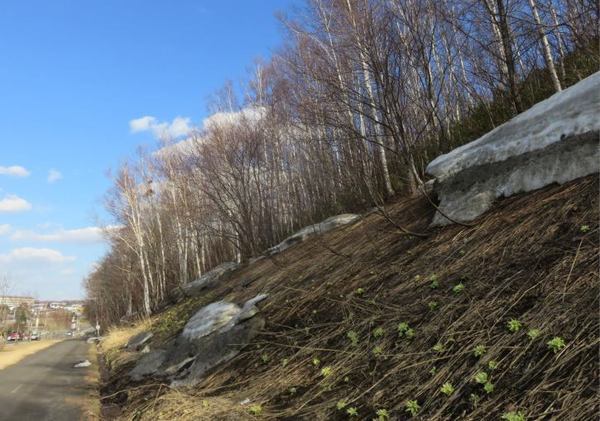 406-zannsetu.jpg