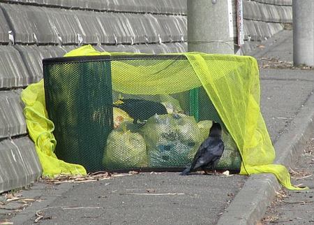 412-net-karasu.jpg