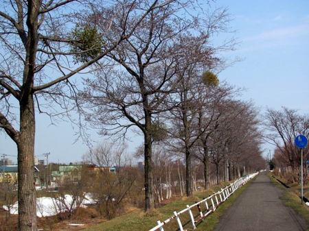 414-jitennshamichi.jpg