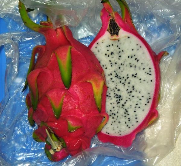 420-doragonn.jpg