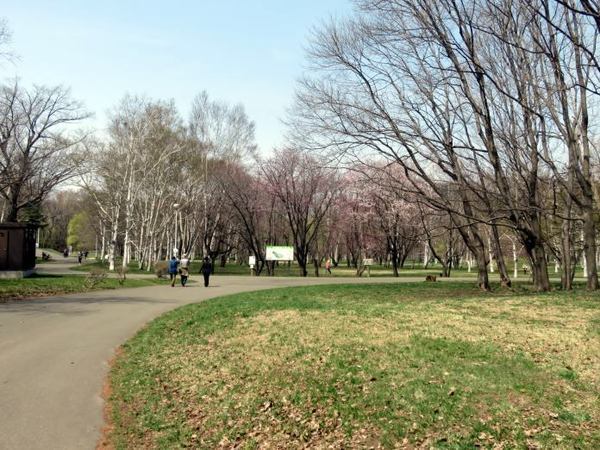 426-makomanai.jpg